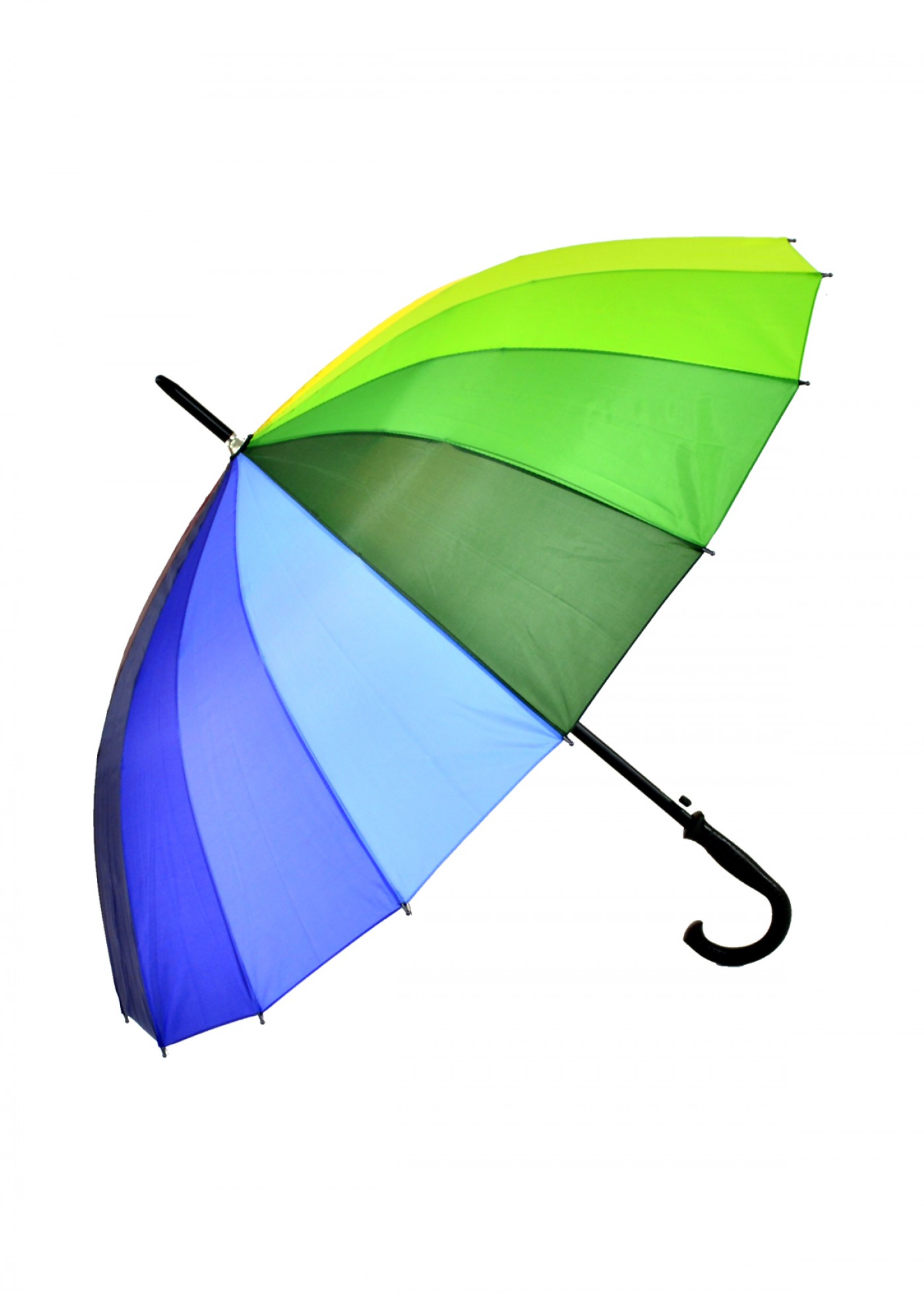 16-telli-gokkusagi_1